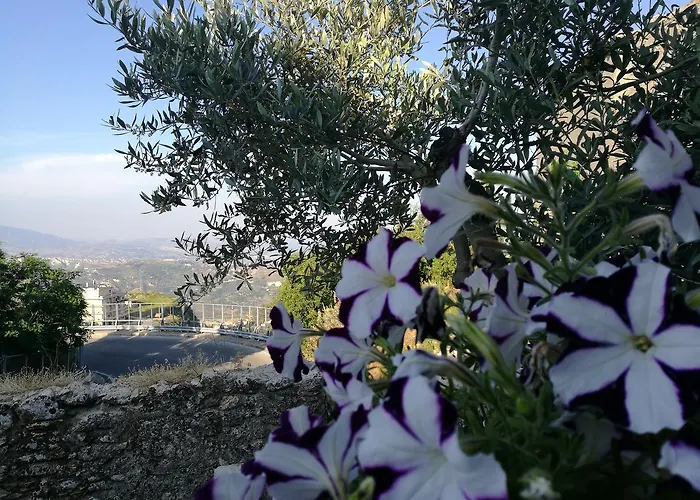 L'antico Borgo 招待所 杰拉切